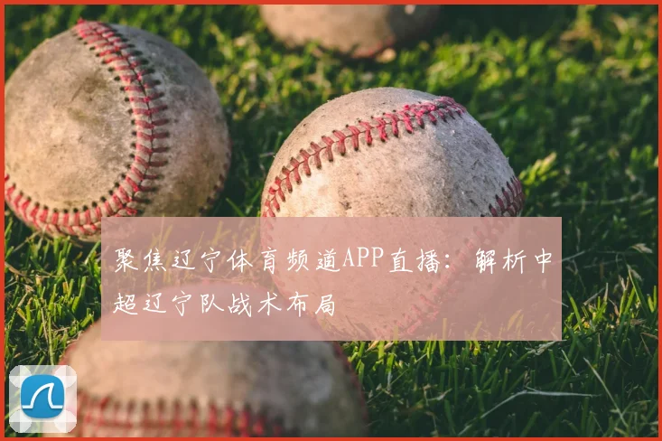 聚焦辽宁体育频道APP直播：解析中超辽宁队战术布局