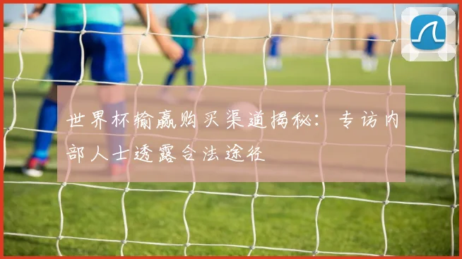 世界杯输赢购买渠道揭秘：专访内部人士透露合法途径
