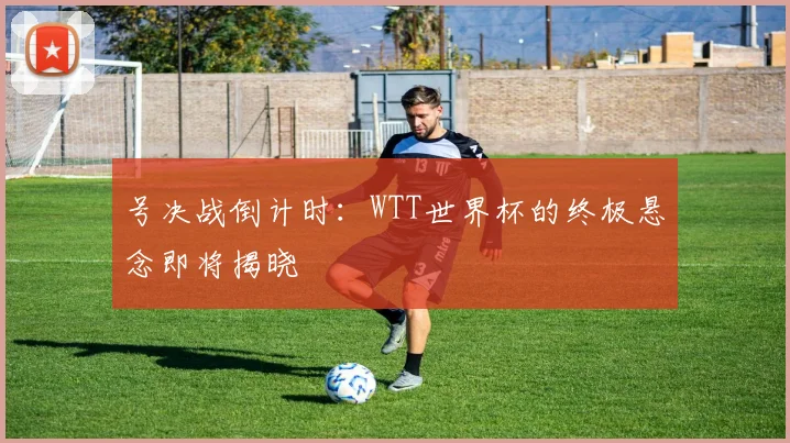 号决战倒计时：WTT世界杯的终极悬念即将揭晓