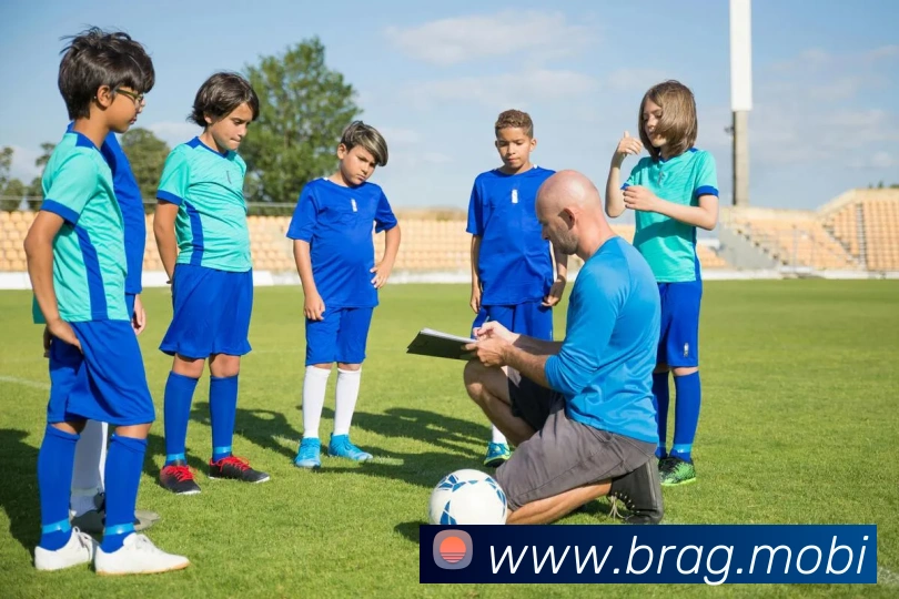 开云手机网页登录网页平台生态图