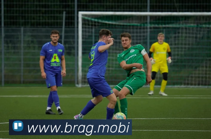 开云手机网页登录网页全站App